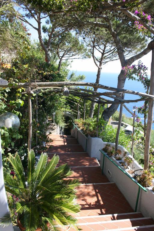 Hotel Villa Al Mare Barano d'Ischia Bagian luar foto